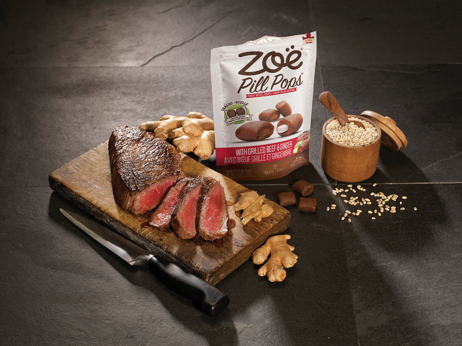 Zoe Pill Pops Grilled Beef with Ginger Treats for Dogs