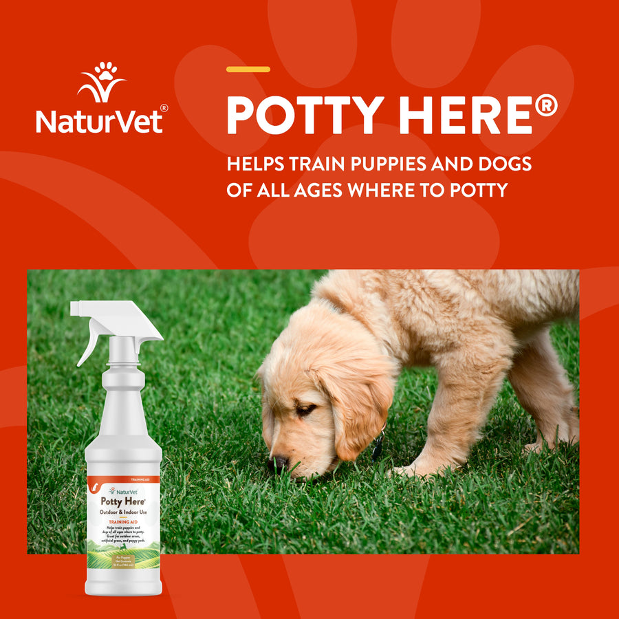 NaturVet Potty Here Training Aid Spray for Puppies and Dogs