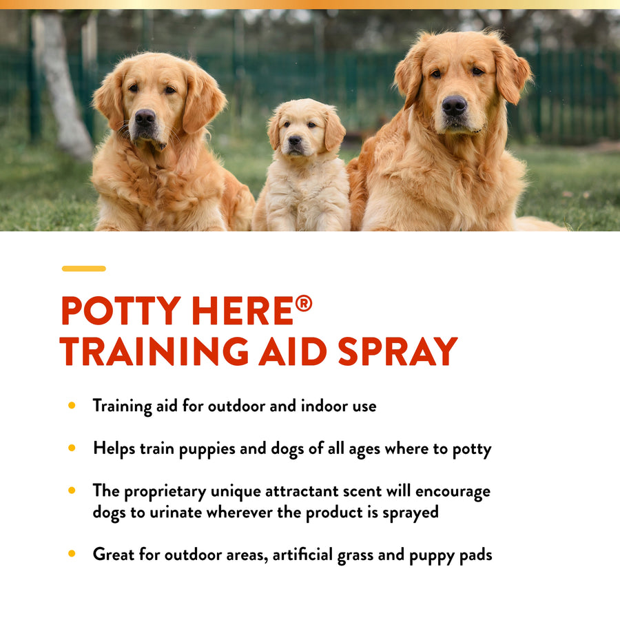 NaturVet Potty Here Training Aid Spray for Puppies and Dogs