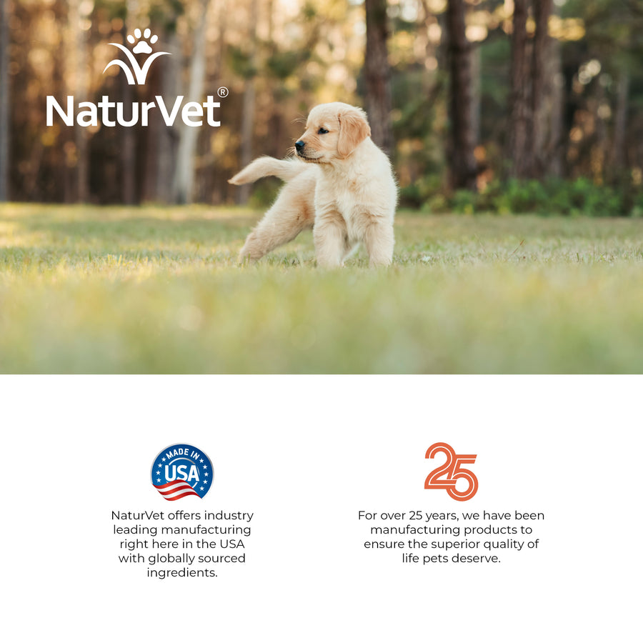 NaturVet Potty Here Training Aid Spray for Puppies and Dogs