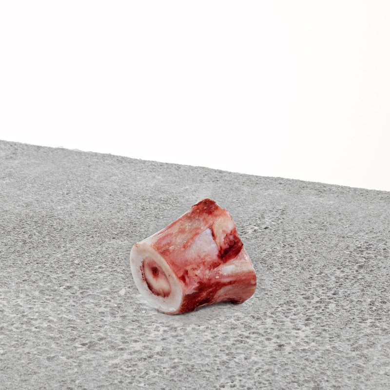 Single piece of Primal Frozen Raw Beef Marrow Bones for Dogs