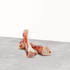 Primal Frozen Raw Bison Marrow Bones for Dogs 2 Pieces
