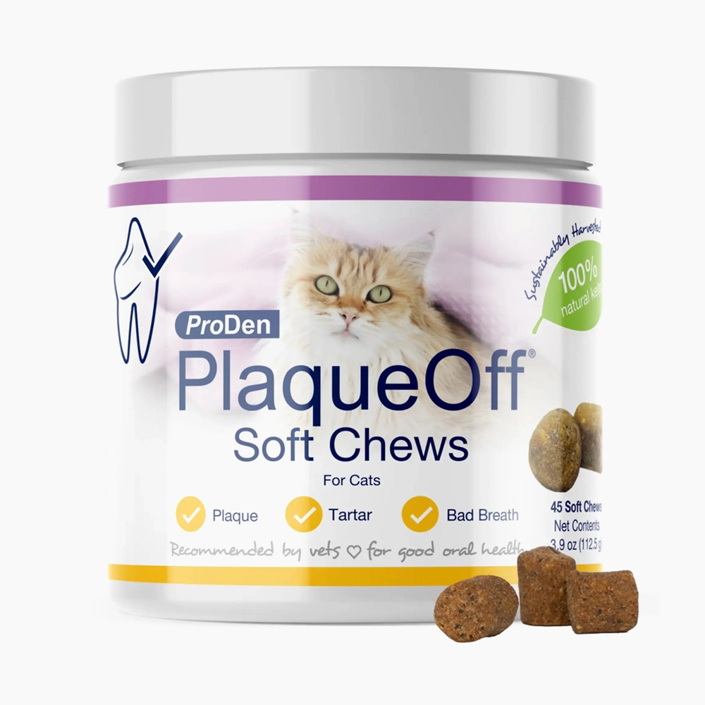 ProDen PlaqueOff Soft Chews Cats front of tub.