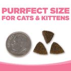 Kibble Size.