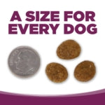 Kibble. Almost the size of a quarter. 