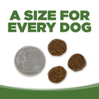 A size for every dog. Kibble approximately 2/3rds size of a dime.
