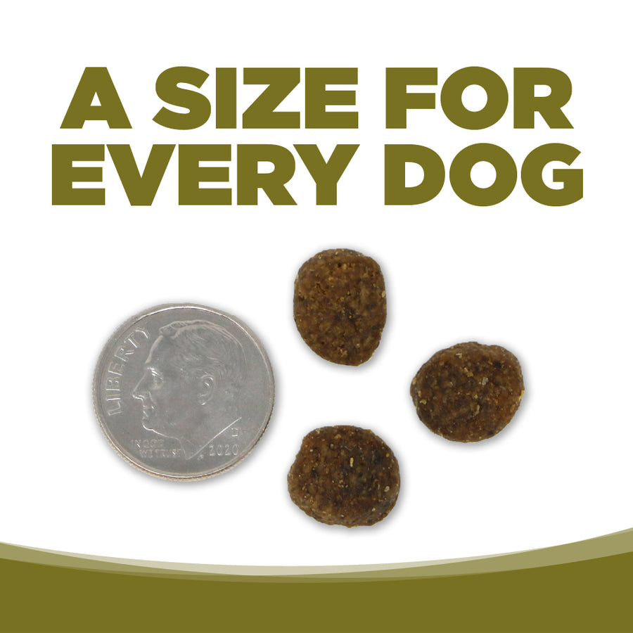 A size for every dog. Kibble approximately 2/3rds size of a dime.