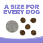 A size for every dog. Kibble approximately 2/3rds size of a dime.