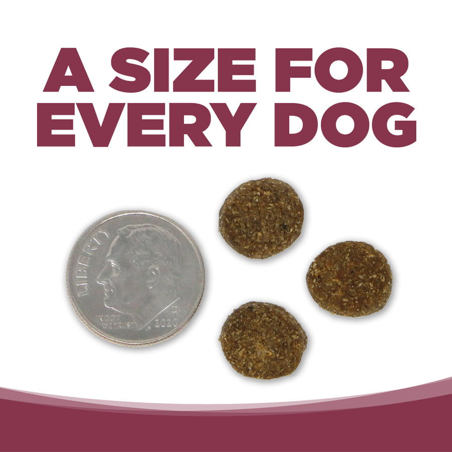 A size for every dog. Kibble approximately 2/3rds size of a dime.