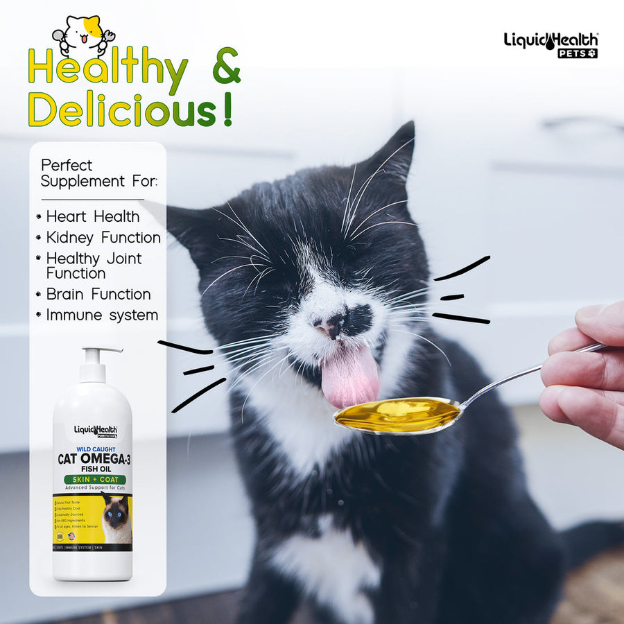 Liquid Health Purr-Fection Omega-3 Fish Oil For Cats