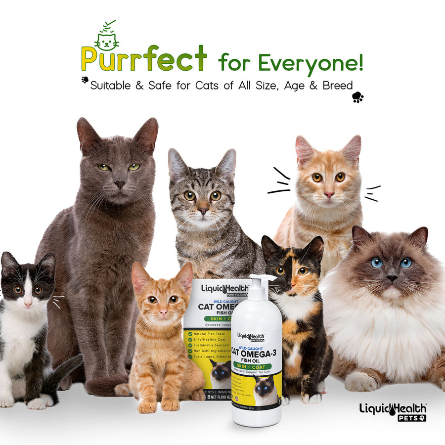 Liquid Health Purr-Fection Omega-3 Fish Oil For Cats