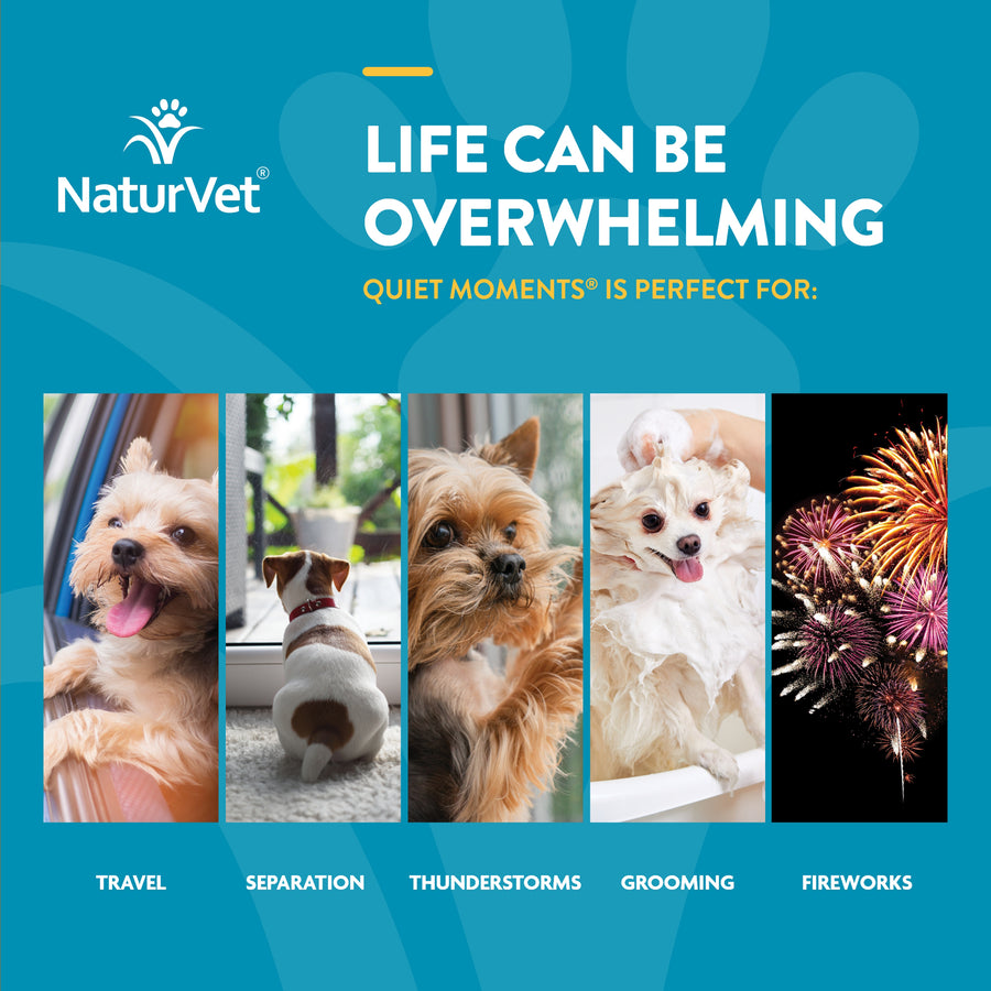 NaturVet Quiet Moments Calming Aid Soft Chews for Dogs