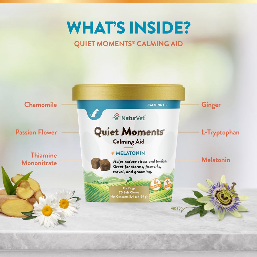 NaturVet Quiet Moments Calming Aid Soft Chews for Dogs