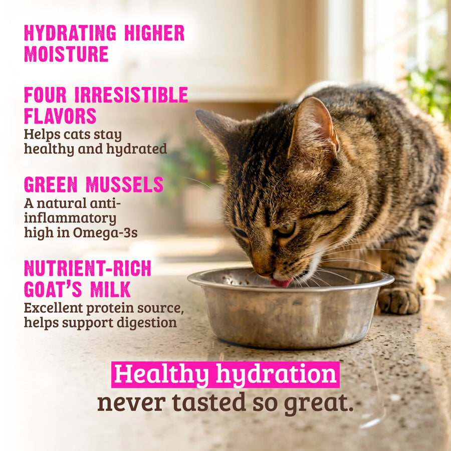 Features of Chicken & Chicken Liver Recipe Hydrating Puree for Cats