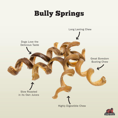 Redbarn Bully Spring Dog Treat