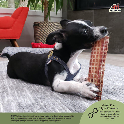 Redbarn Barky Bark Jerky Dog Treat