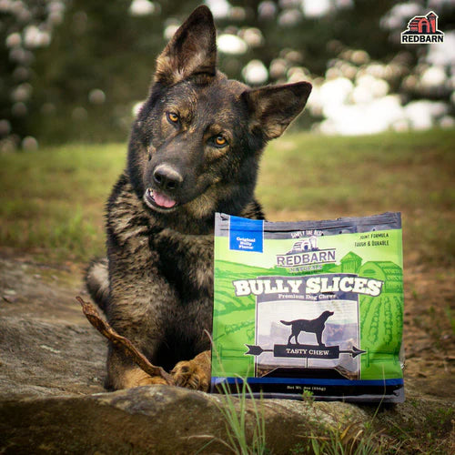 Redbarn Naturals Grain Free Beef Bully Slices Dog Treats