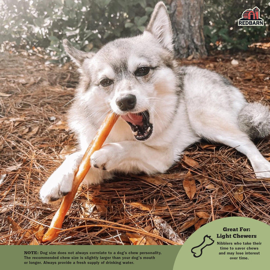 Redbarn Collagen Stick For Dogs