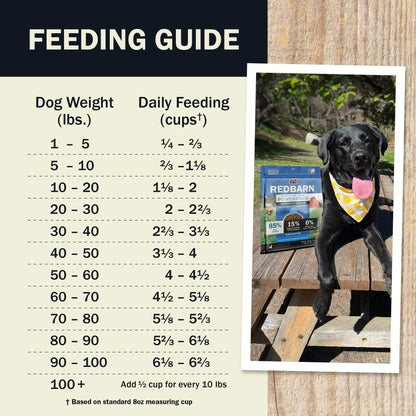 Redbarn Air-Dried Powerfood Digestive Health Fish Recipe Dog Food