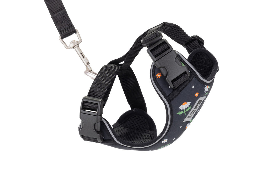 RC Pet Adventure Kitty Harness for Cat Daisies, Black