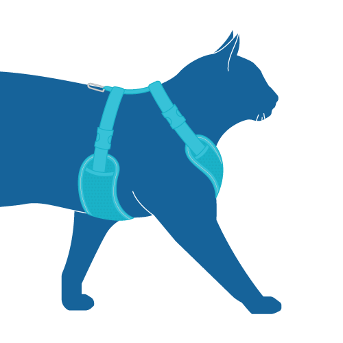 RC Pet Adventure Kitty Harness for Cat Splatter, side look when worn