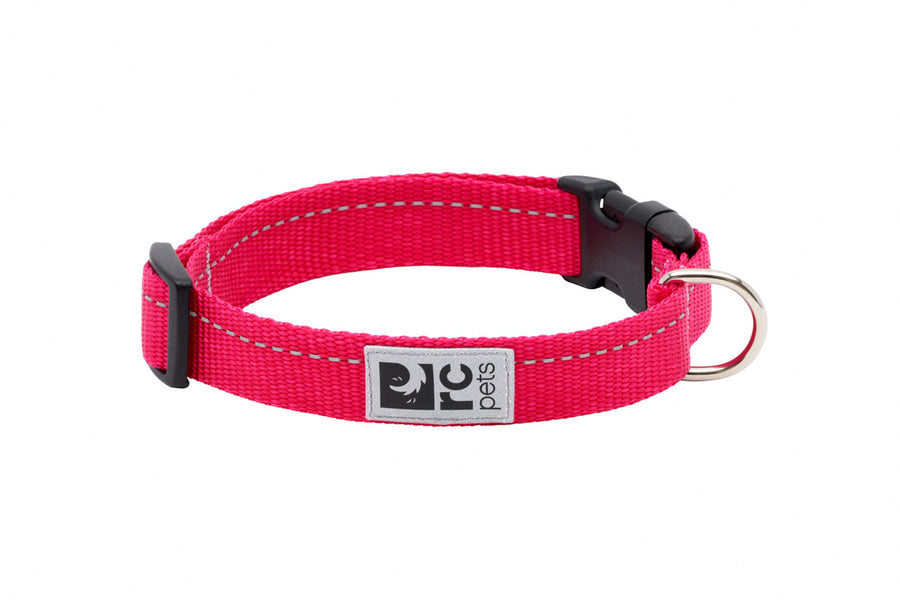 RC Pets Primary Dog Collar, Azalea