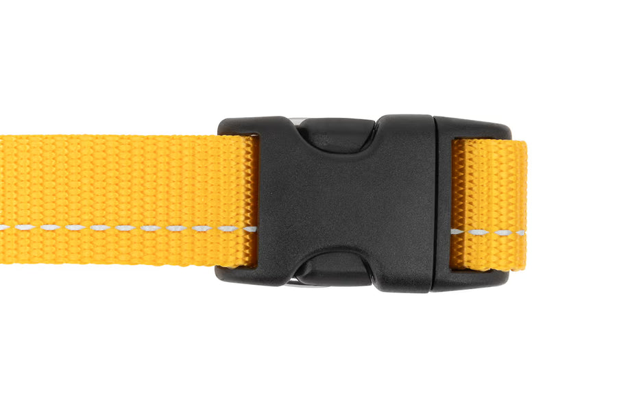 RC Pets Primary Dog Collar, Parakeet