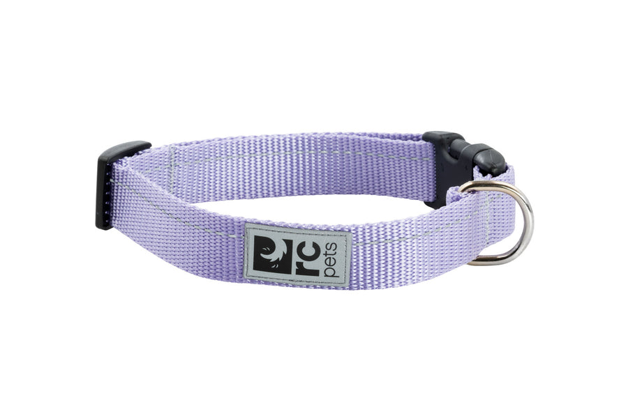 RC Pets Primary Dog Collar, Lilac