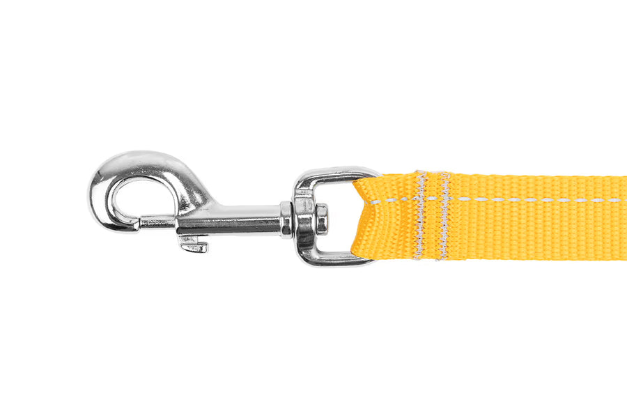 RC Pets Primary Dog Leash, Lilac