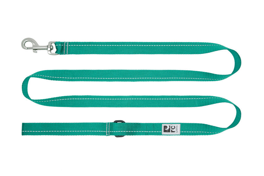 RC Pets Primary Dog Leash, Parakeet Color Full length