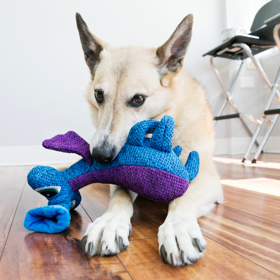 KONG Woozles Blue Monster Dog Toy