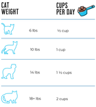 Feeding Guidelines for Raw Dynamic Cat Food. 