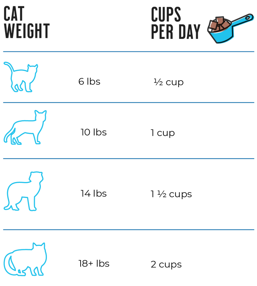 Feeding Guidelines for Raw Dynamic Cat Food. 