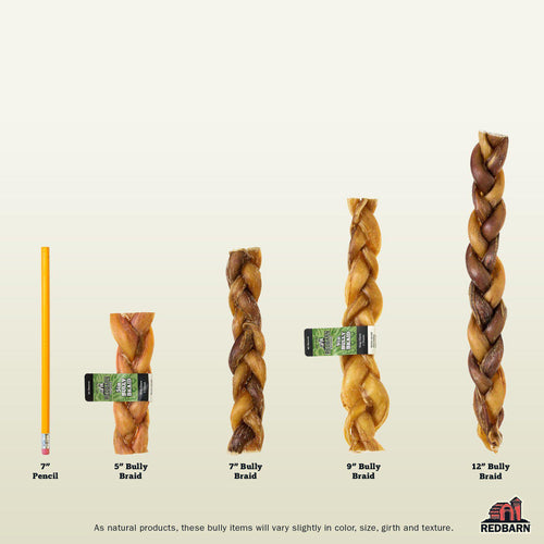 Redbarn Braided Bully Stick Dog Treat 7" to 12" sizes comparison to pencil