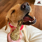Dog chewing on a Redbarn Chew-A-Bulls Brush Dog Treats