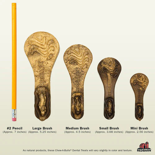 Redbarn Chew-A-Bulls Brush Dog Treats Sizes, Large is 5..25", medium is 4.5", small brush is 3.68" and mini brush at approx. 2.56"