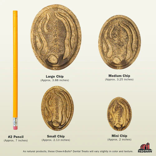 Redbarn Chew-A-Bulls Chips Dog Treats Sizes, Large is 3.88", medium is 3.25", small chip is 2.13" and mini chip at approx. 2"