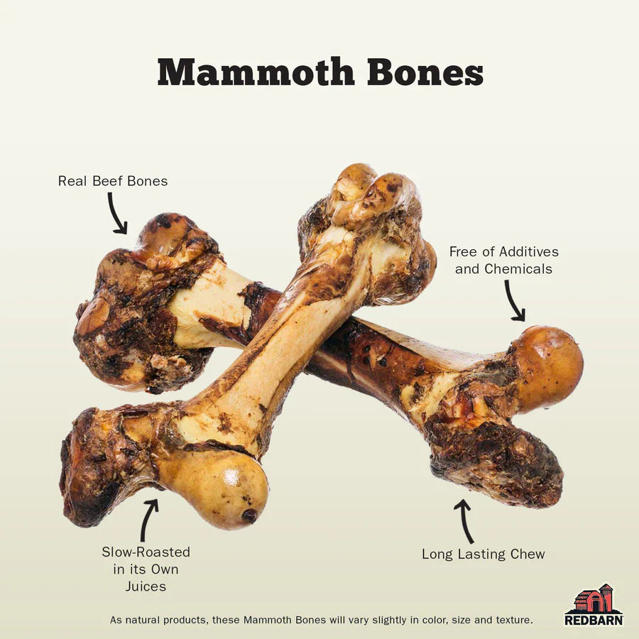 Redbarn Mammoth Bone Dog Treat - Real beef bones, additive-free, chemical-free, long-lasting chew, slow-roasted in natural juices.