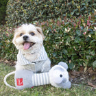 Cute dog wearing Reversible Light Sweater