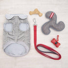 Reversible Light Sweater with other essential dog stuff