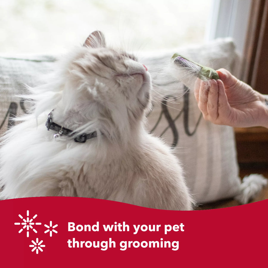 Person using brush on cat's back. Clumps of hair on brush. Bond with your pet through grooming. Safari de shedding tool for cats.