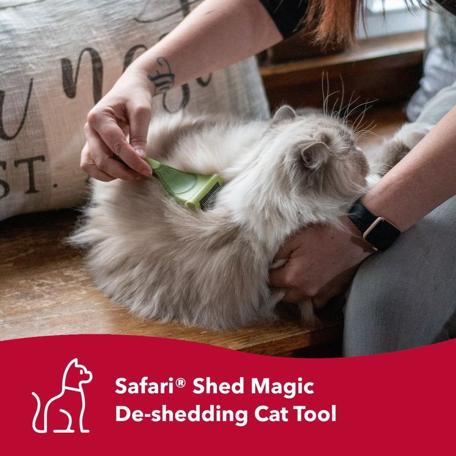 Person using brush on cat's back. Safari de shedding tool for cats.