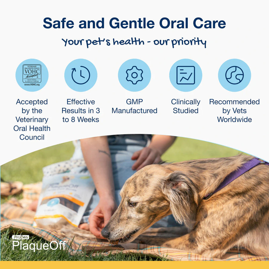Your pet's health- our priority.