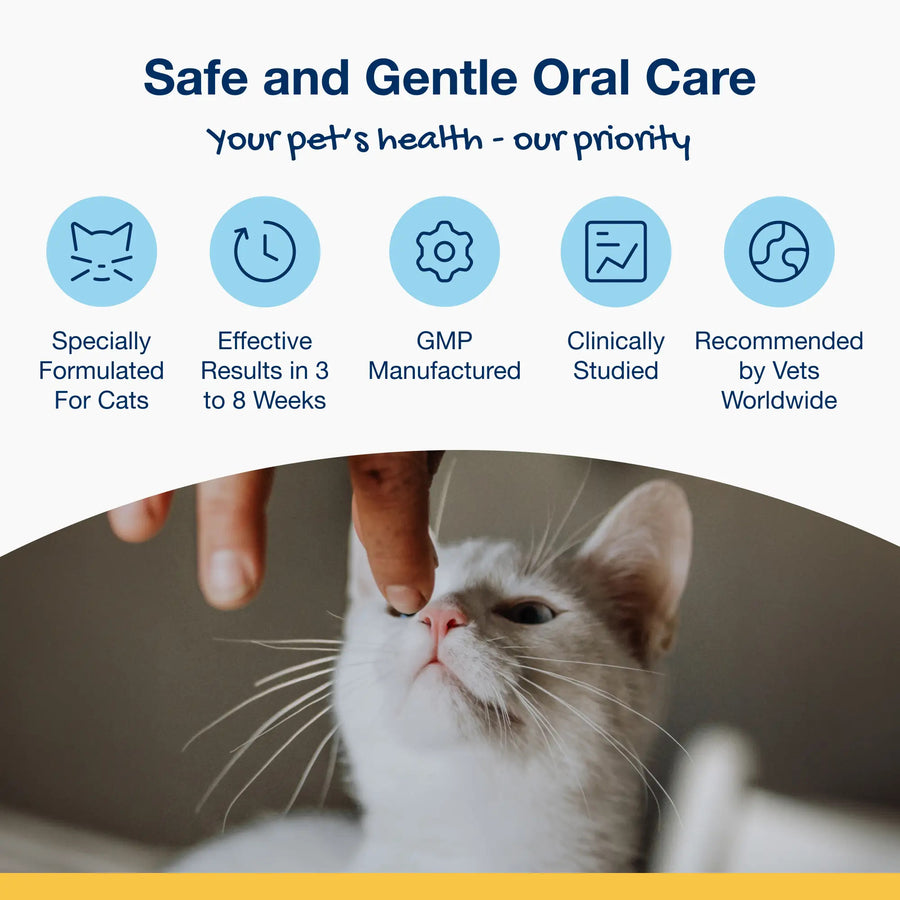 Your Pet's health- our priority.