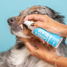 Spray bottle of Skout's Honor Oral Care Advanced Dental Drops used to clean dog teeth