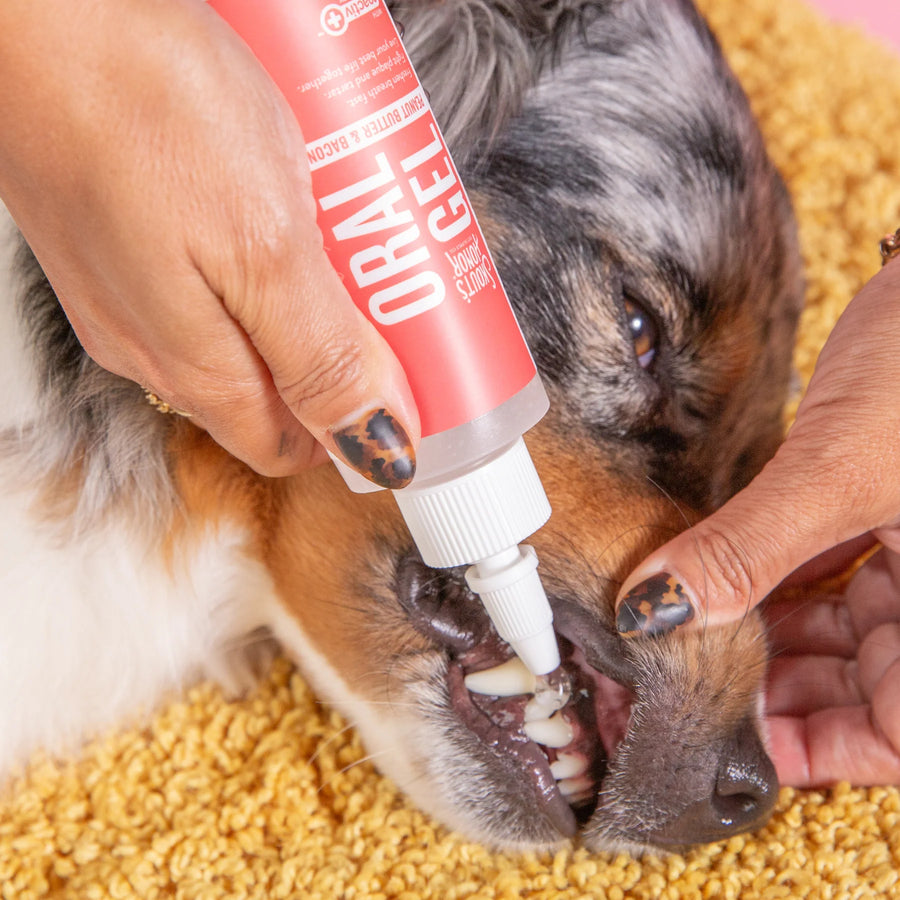 Drops of Skout's Honor Oral Care Oral Gel Peanut Butter & Bacon Flavor for Pets in a dog
