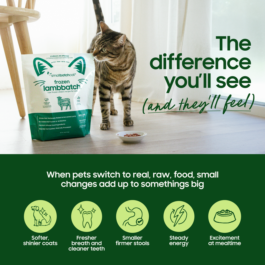 When pets switch to real, raw food small changes add up to something big. 