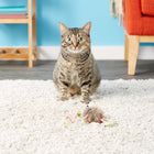 Cat playing with SmartyKat Bouncy Mouse Interactive Teaser Cat Toy