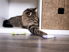 Cat reaching for a SmartyKat Fish Flop Plush Crinkle Catnip Toy 