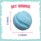 2.5 x 2.5 inches size of Snugarooz Sky Bounce Ballz Dog Toy Blue